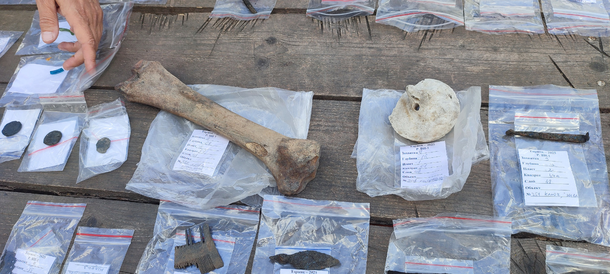 Фото: Маргарита Васильева