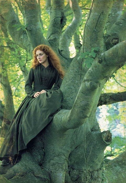 Мерил Стрип в роли Сары 