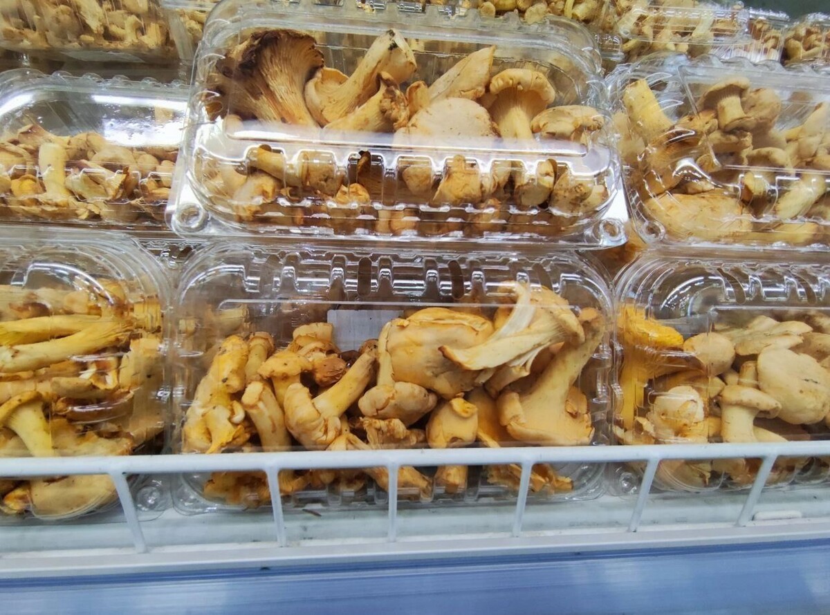     Автор: Ефросинья Рамазанова Источник: muksun.fm