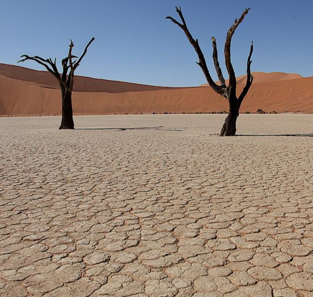 Гугл изображения. 