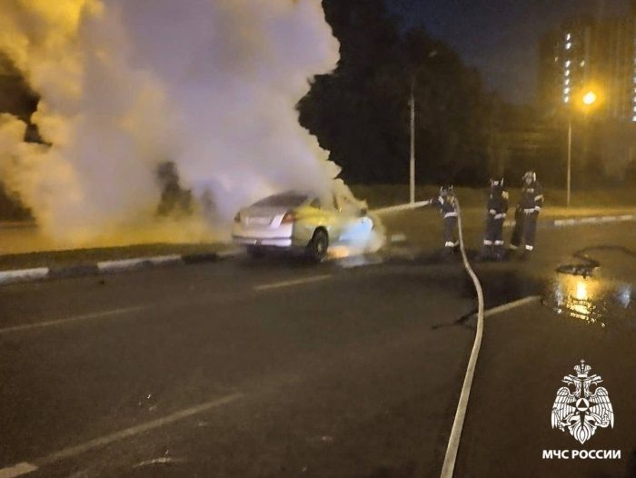 Фото "МЧС Новосибирской области".