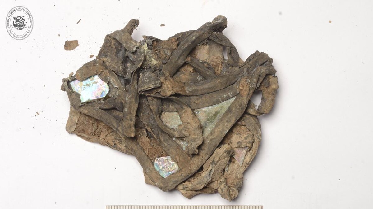    Фото: t.me/iimk_ran