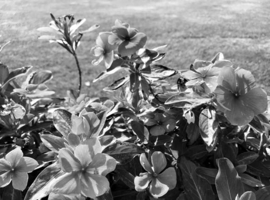 Фото: istockphoto.com