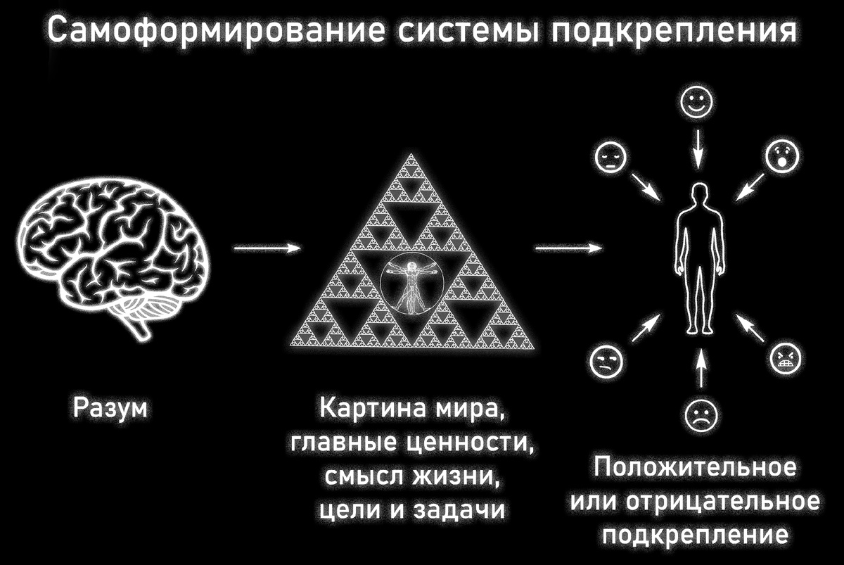 Формирование системы подкрепления в человеке