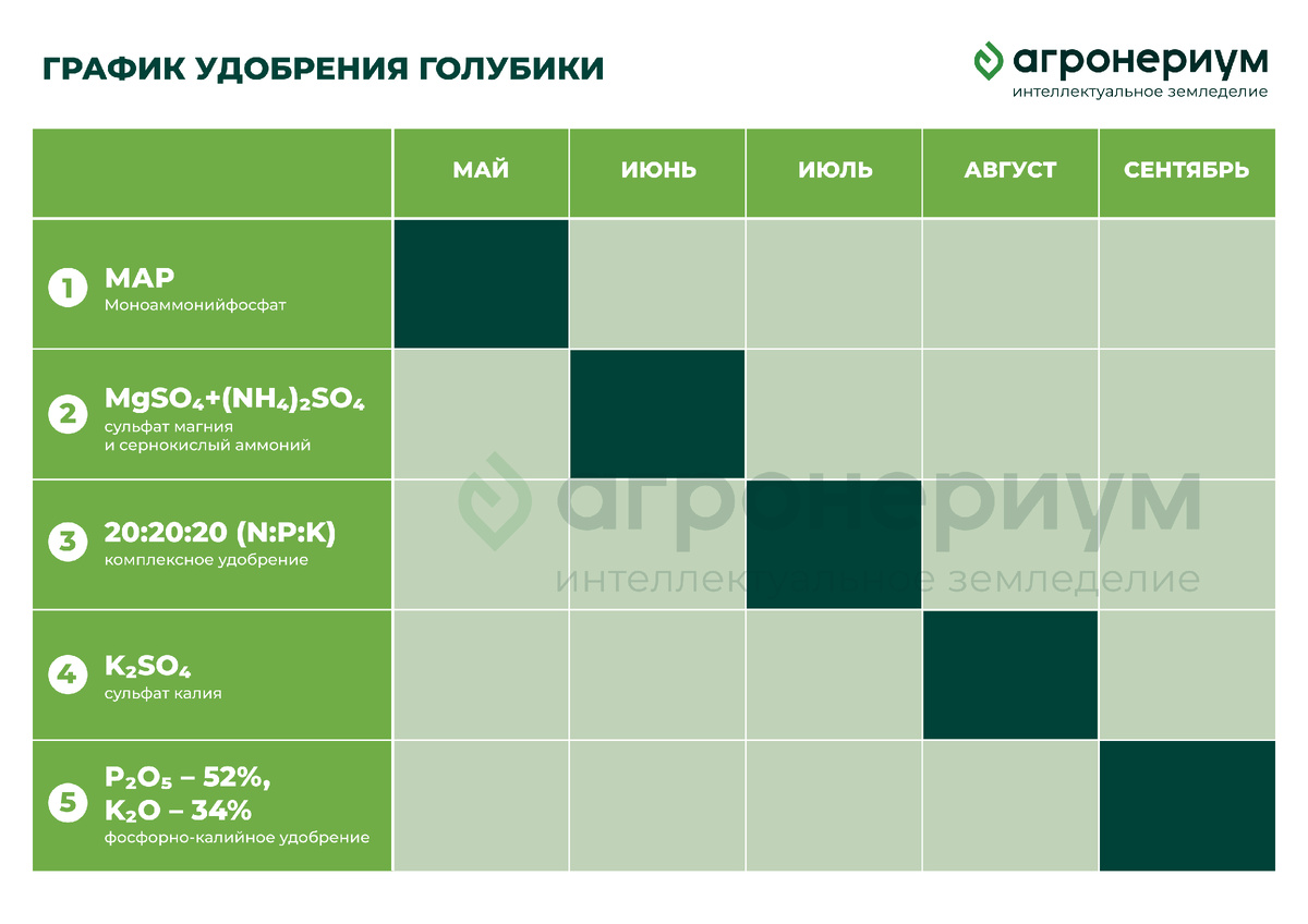 График удобрения голубики в виде таблицы