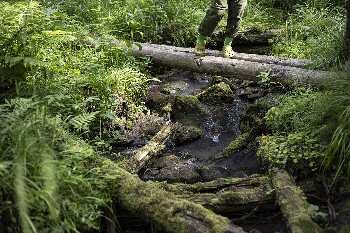 Ручей с питьевой водой в заповеднике
Фото: Ирина Гильфанова для ТД