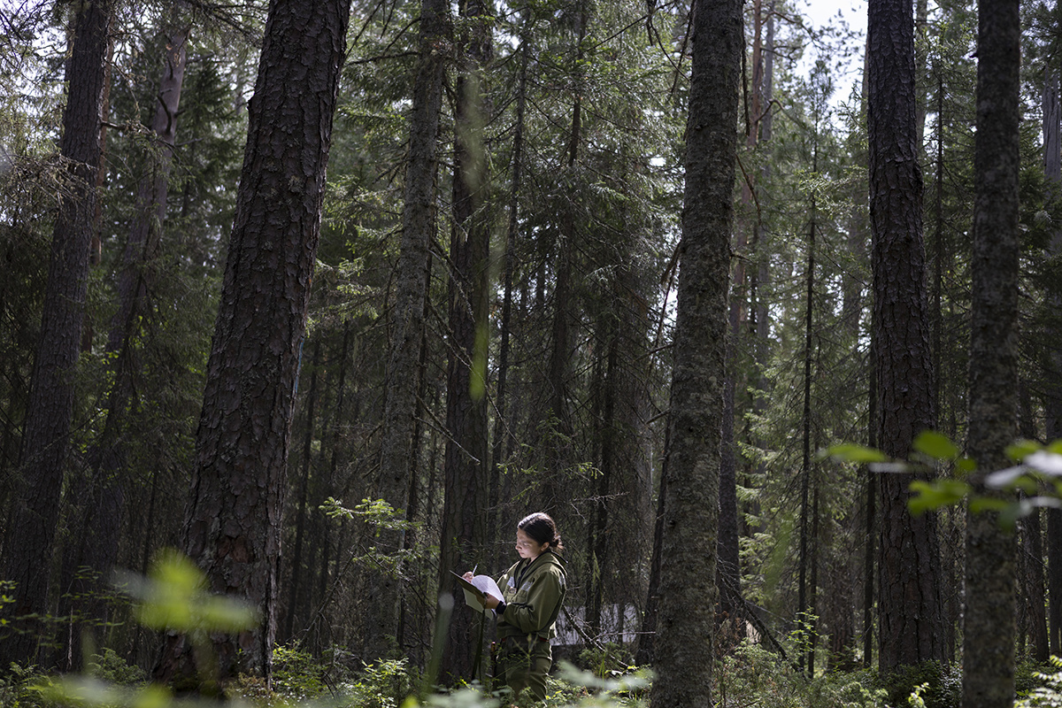 Фото: Ирина Гильфанова для ТД