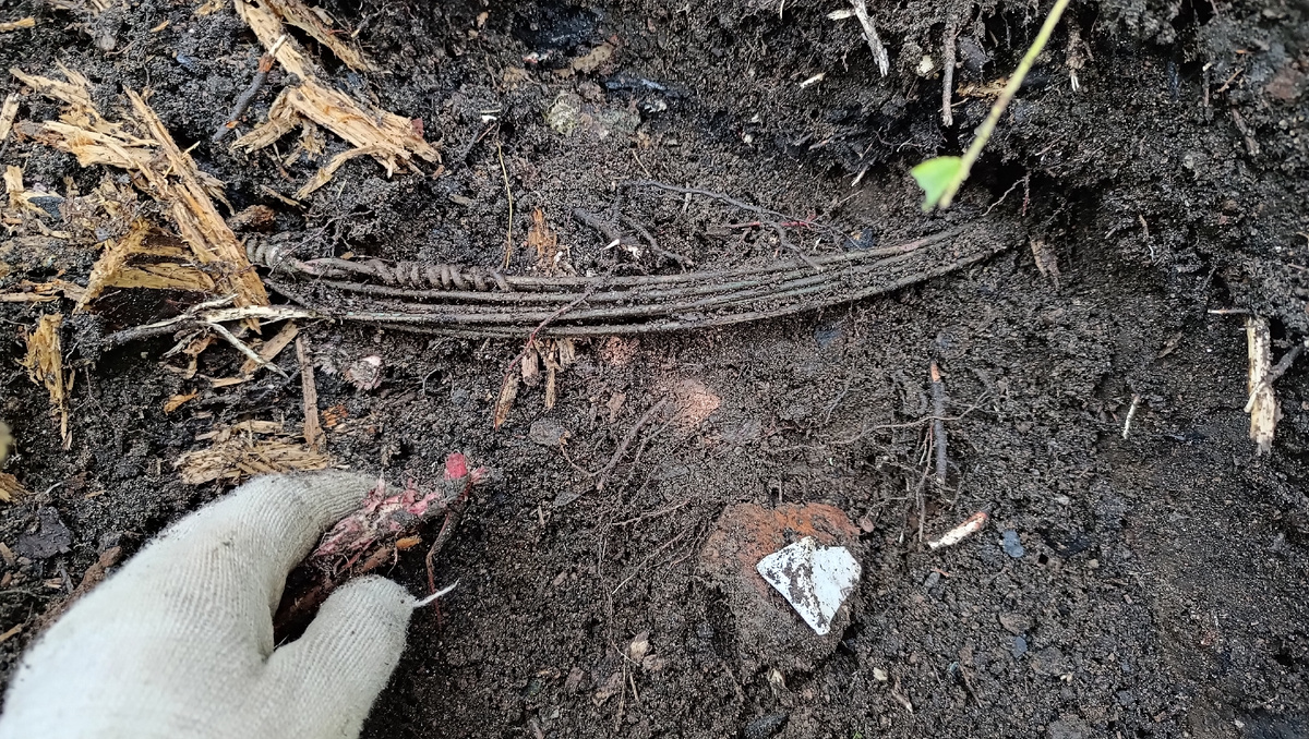 Медная проволока. Выборгский район, 2025. Клубок времени.