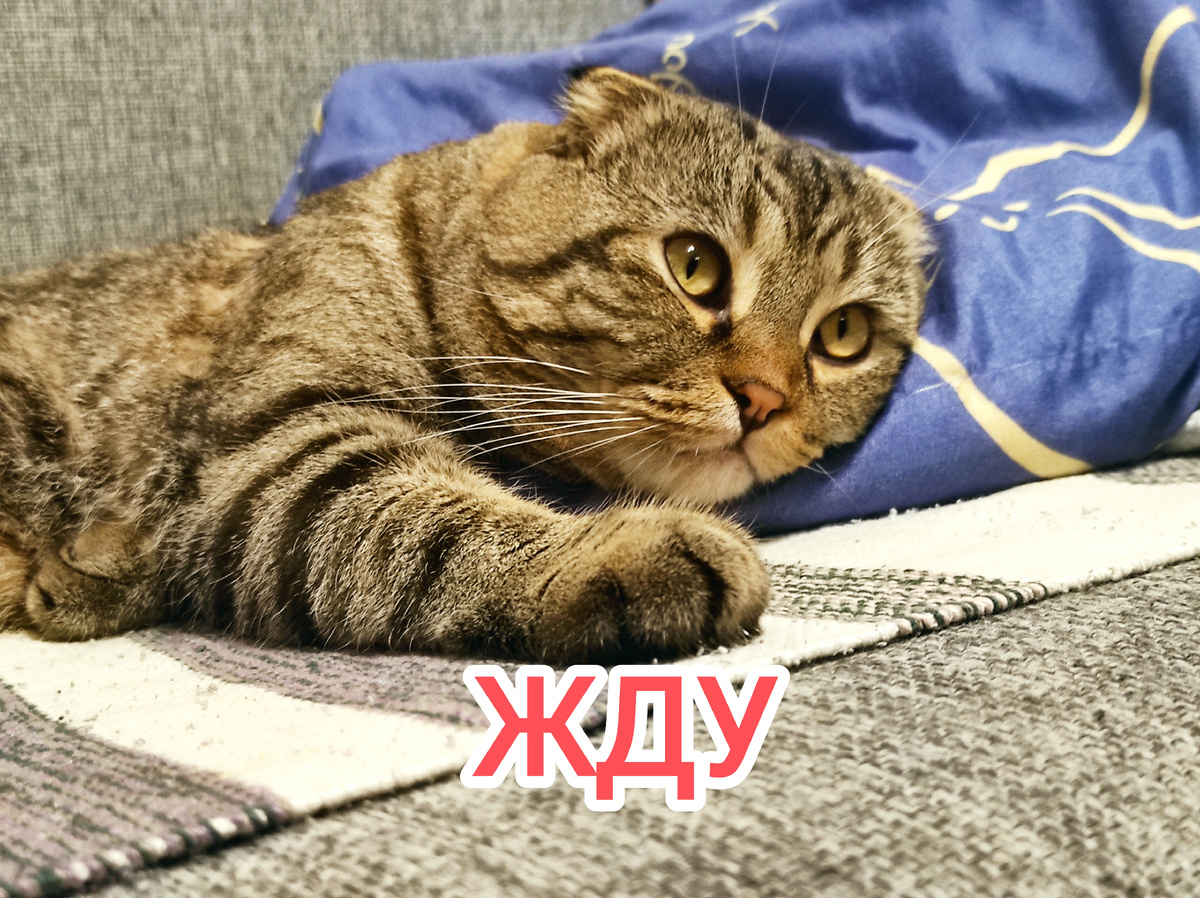 Это я могу. Я вообще могуч!