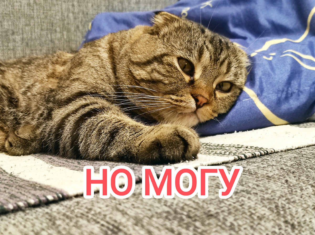 Я же писал выше, что могуч?