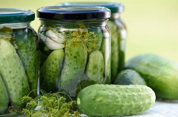    Фото сайта Минсельхоза РФ admin