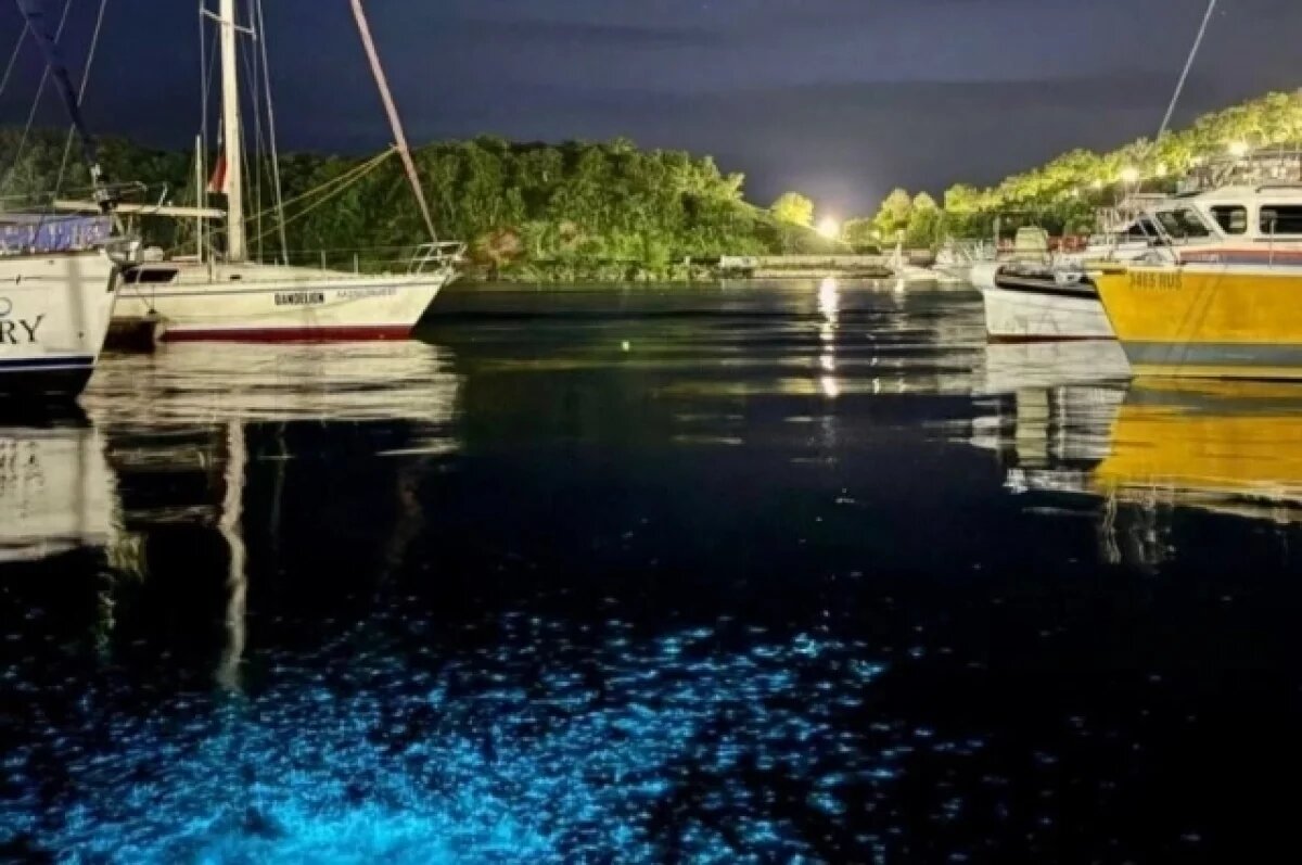    Жителей Камчатки просят не есть морепродукты из Авачинской бухты