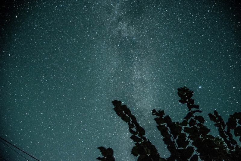 Фото: Ольга Шитикова