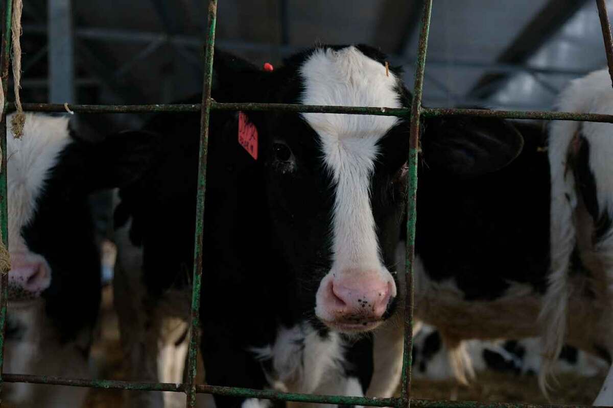    Фото: Пруфы