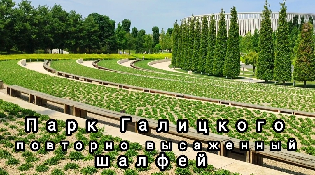 🌿💚🌿💚🌿💚🌿