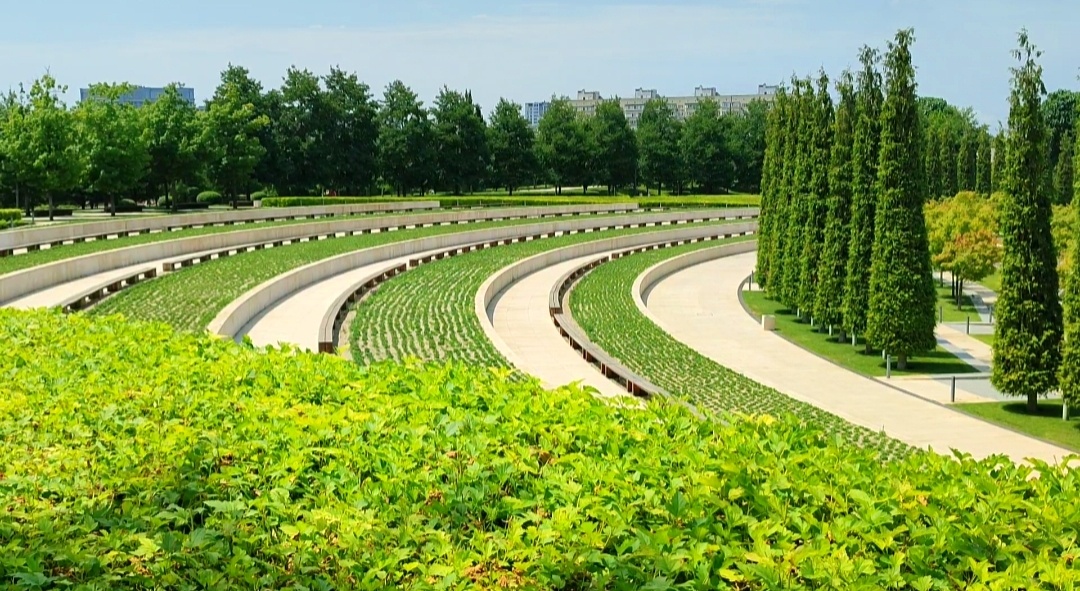 🌿💚🌿💚🌿💚🌿