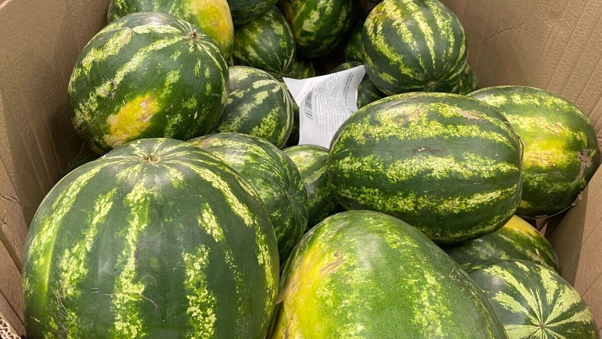     Источник: nashgorod.ru