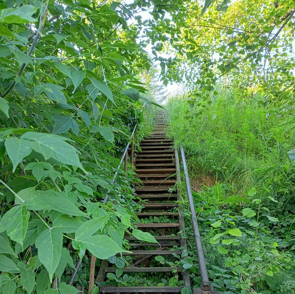 Фото Елены Шантаренко t.me/moscow_mylove