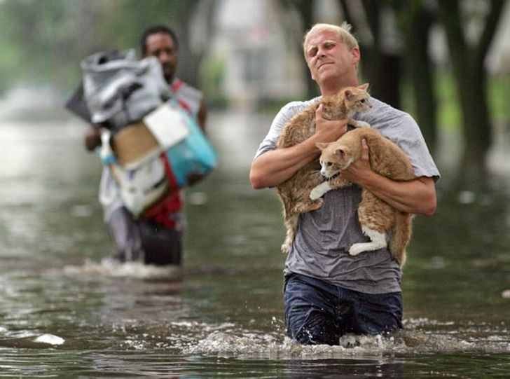 Фото из открытых источников