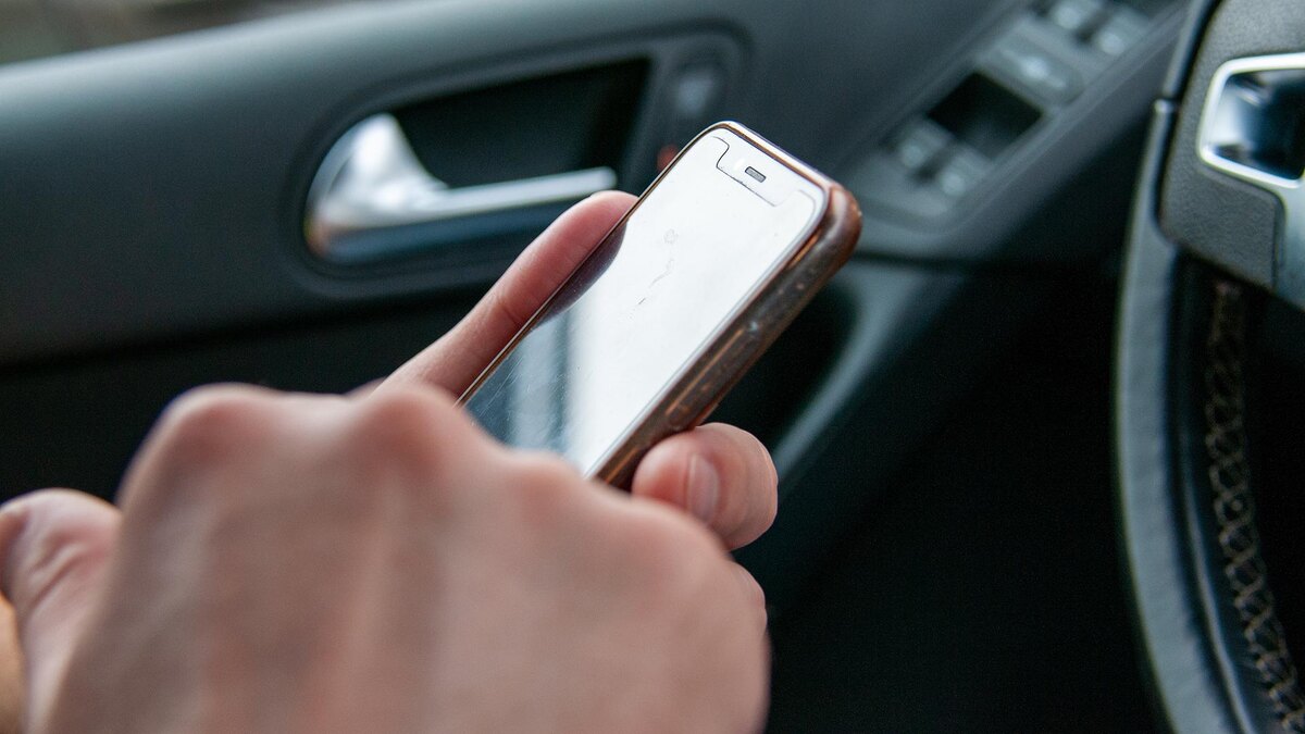    Фото: Svetlana Vozmilova/globallookpress.com