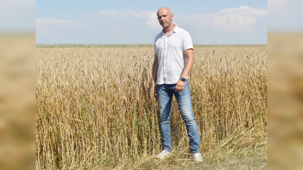    Сельхозпроизводство - не самый простой бизнес, но у главы КФХ Виктора Ковалева из Темрюкского района хватает сил и энергии работать успешно. Фото Елены Крестьяновой. Знамя Труда