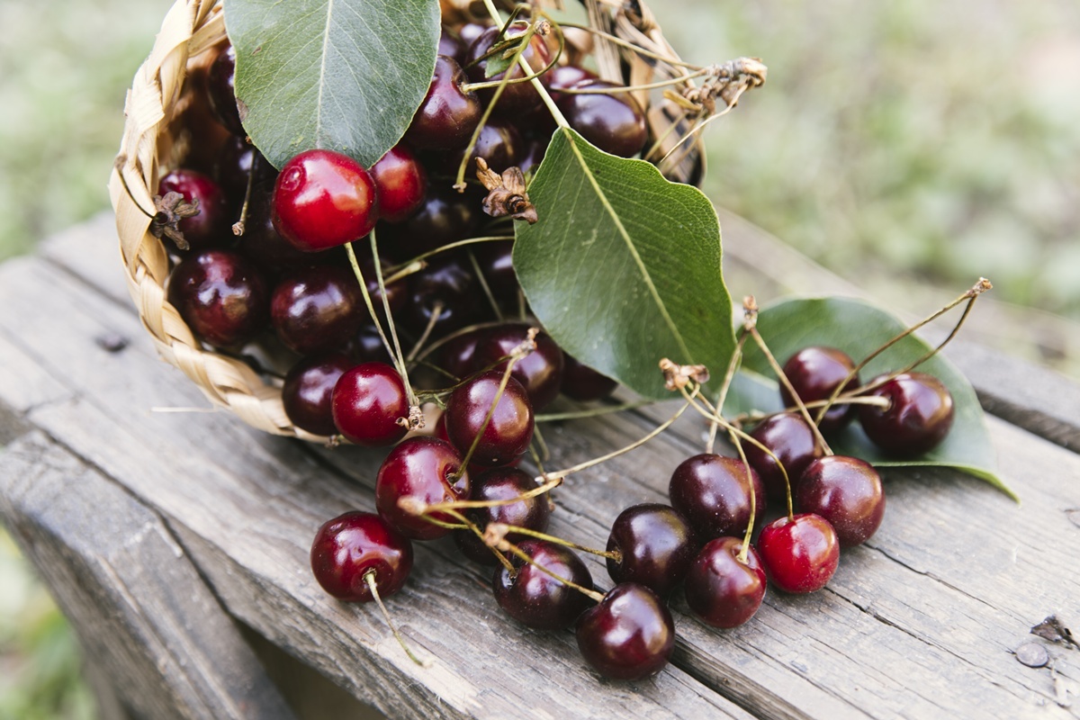 Изображение от freepik