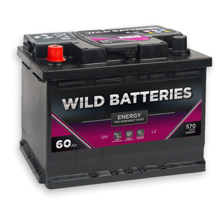 WILD BATTERIES 60 Ач, 600 А L+