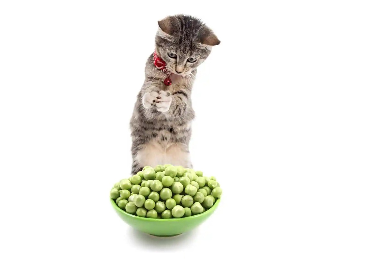 источник Яндекс-картинки