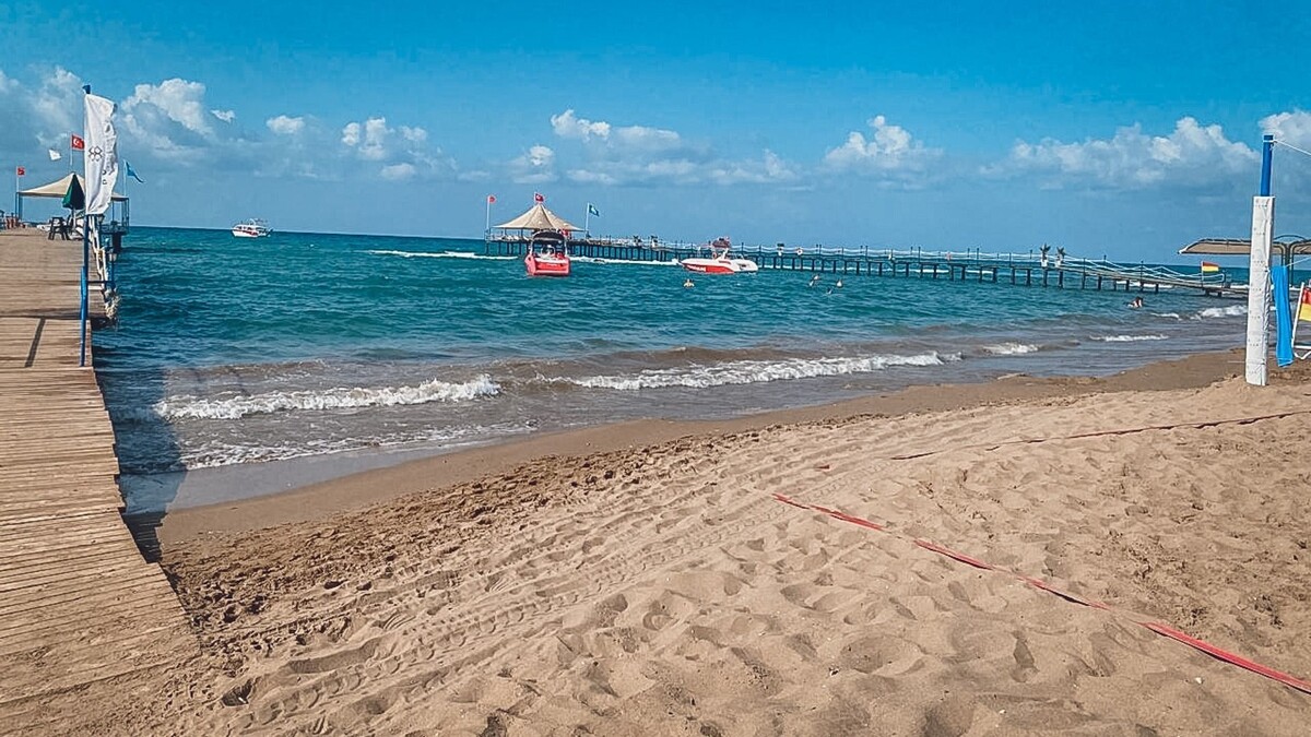     Источник: 1MI