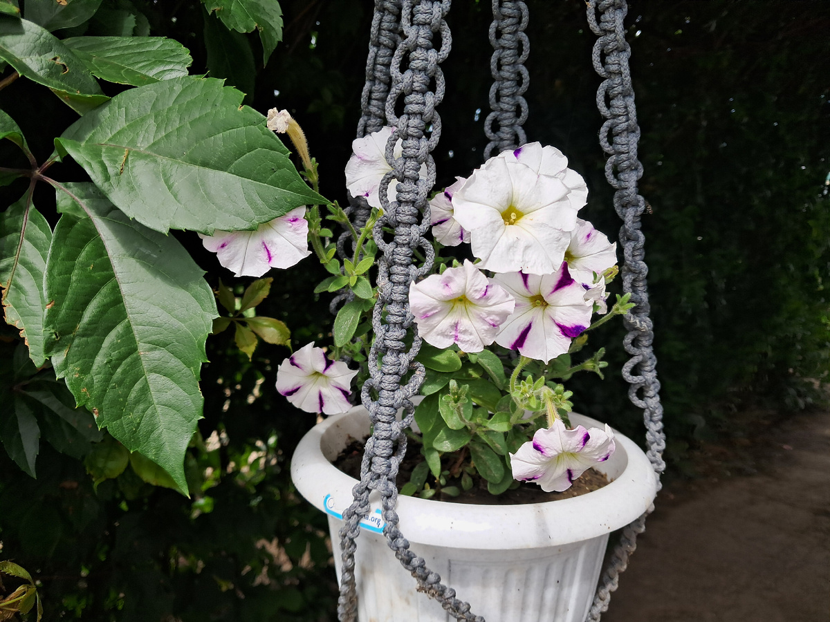 Фото автора.