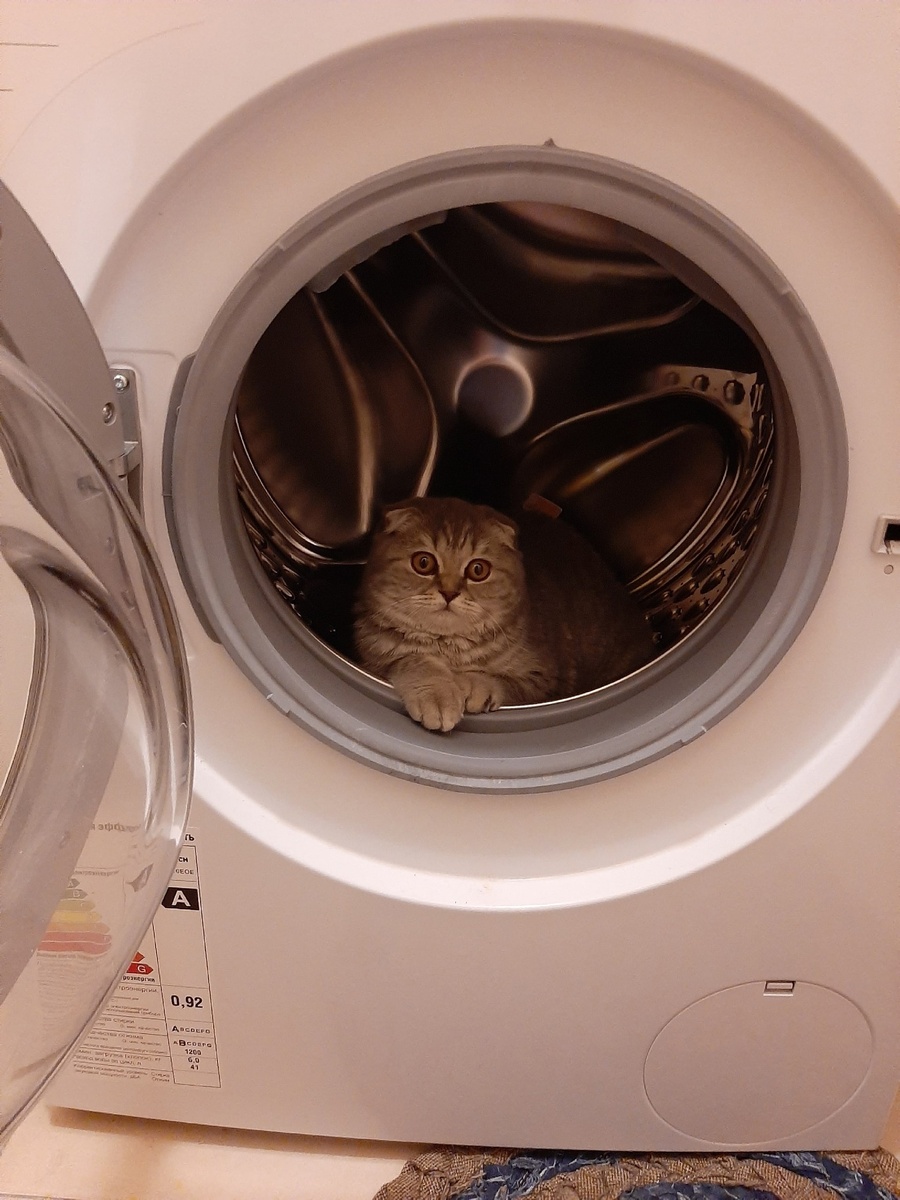 Фото: Елизавета Вознесенская