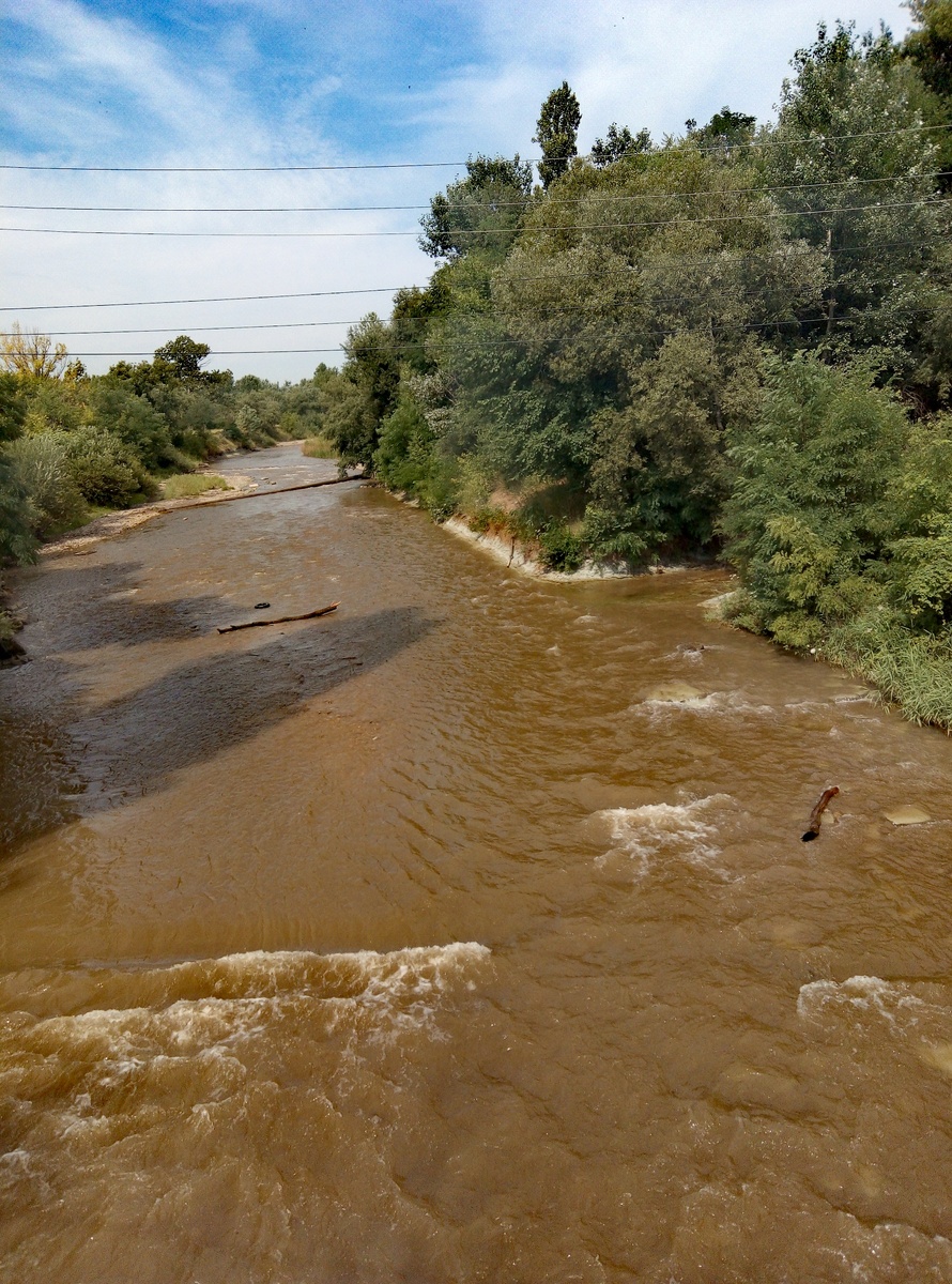 Воды в Подкумке мало, но она грязная - видимо, где-то прошёл сильный дождь.