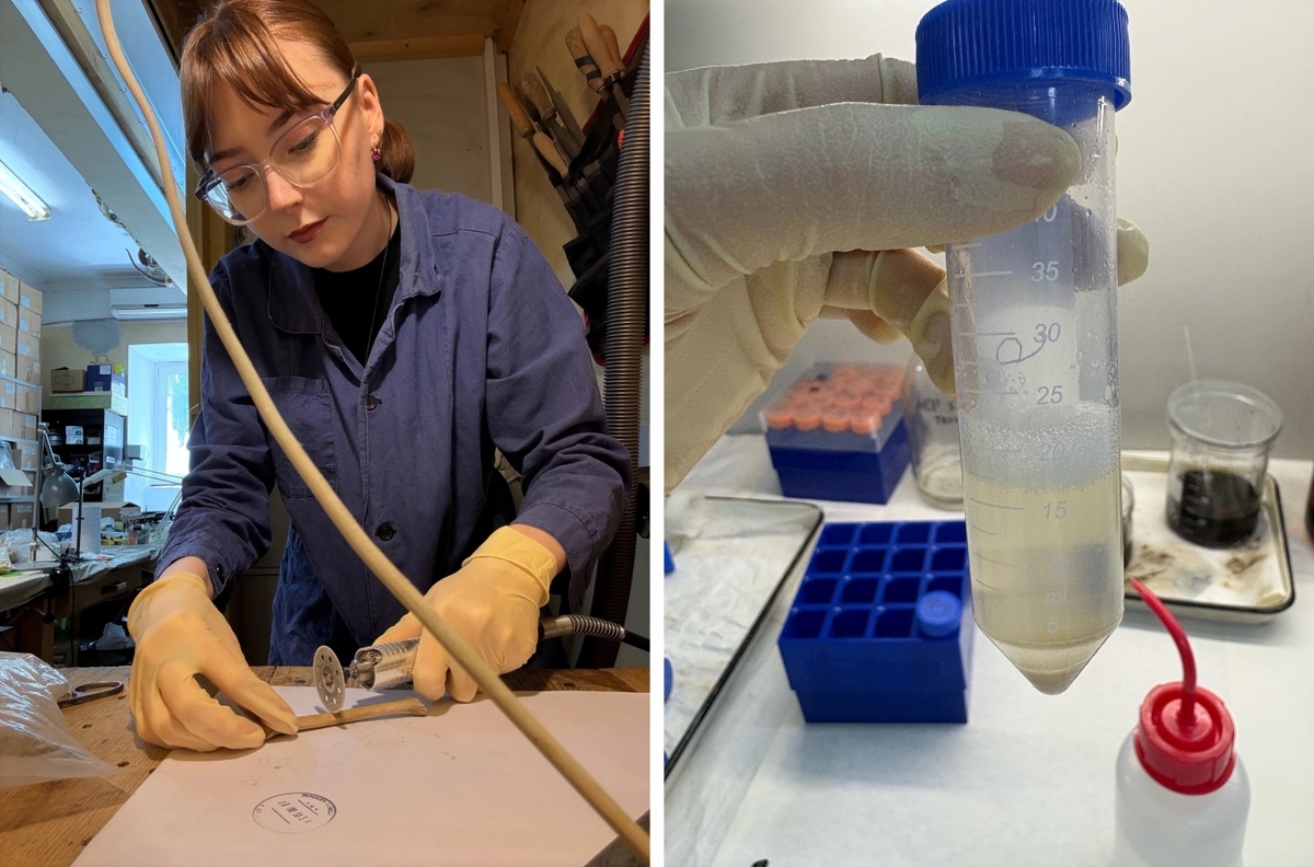 Проведение исследований