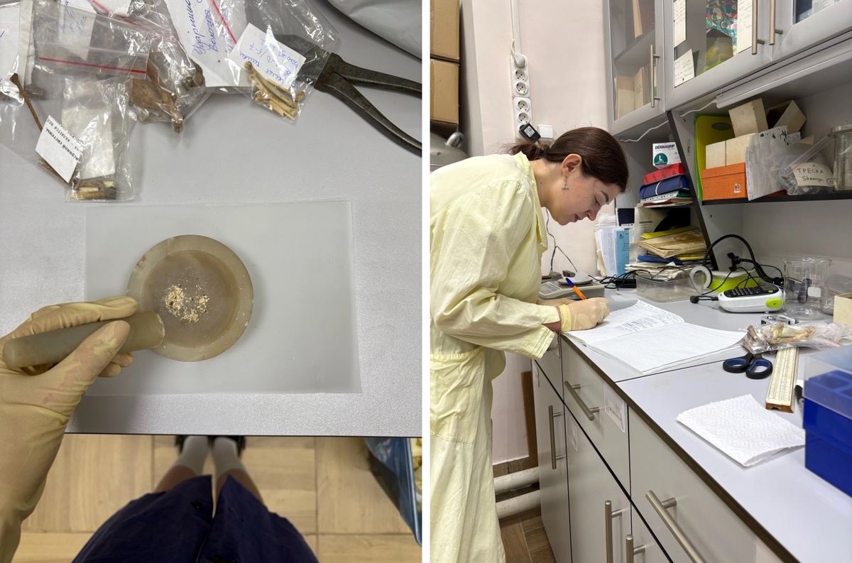 Проведение исследований