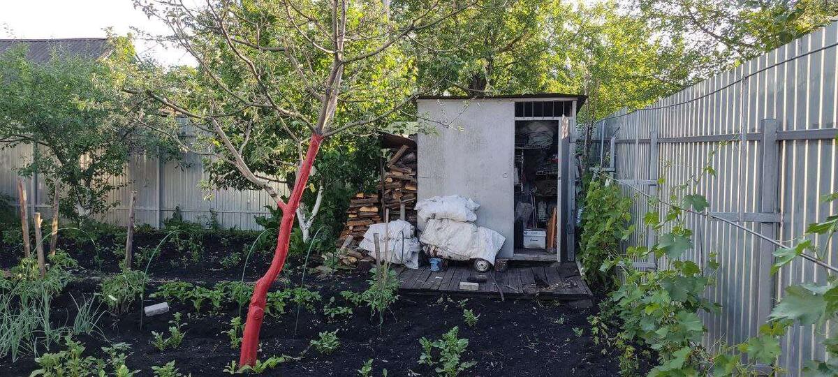 Принят закон о нормах в садоводстве и огородничестве в личных хозяйствах.