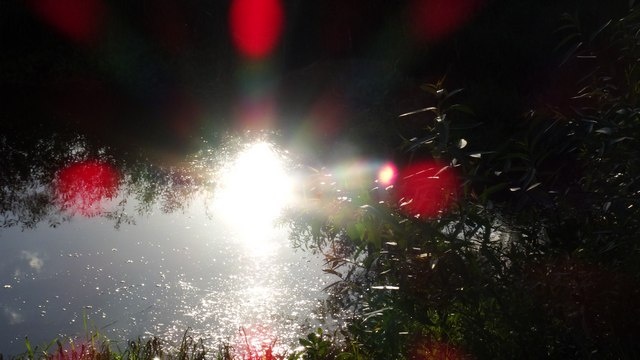 Фото Татьяны Лебедь. Москва-река.