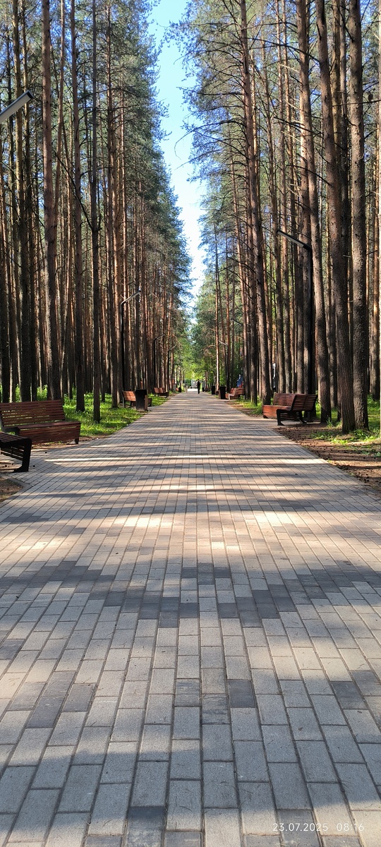 Детский парк,  г. Ухта