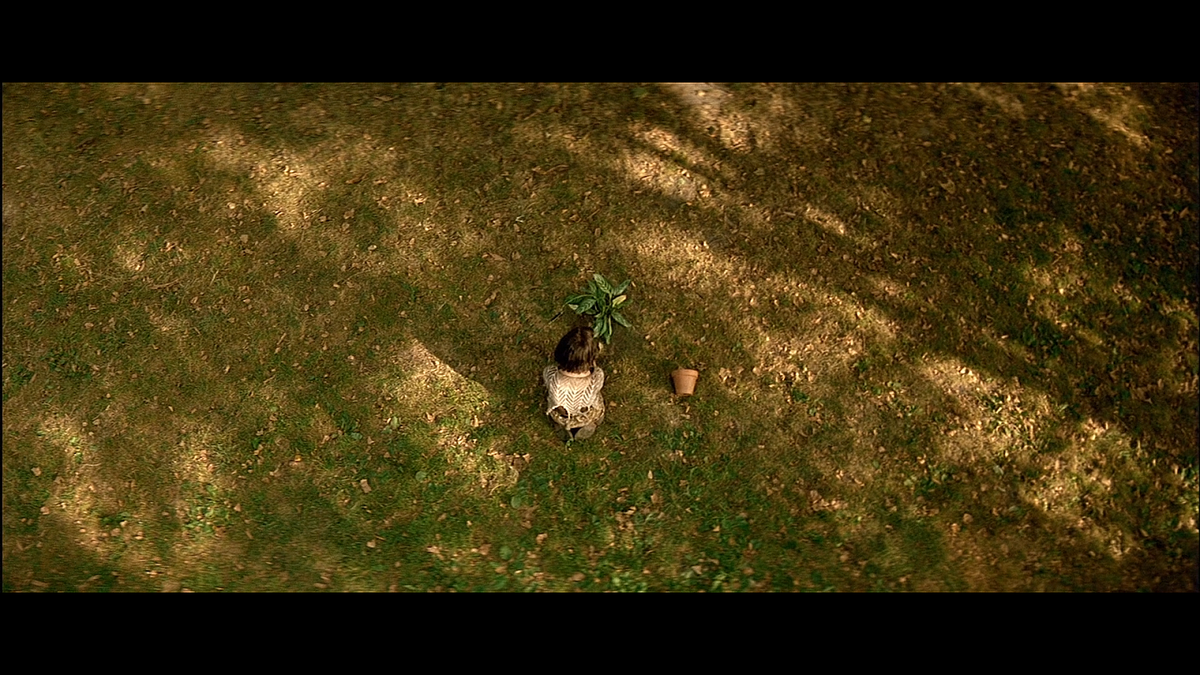 Кадр из фильма Леон (1994)