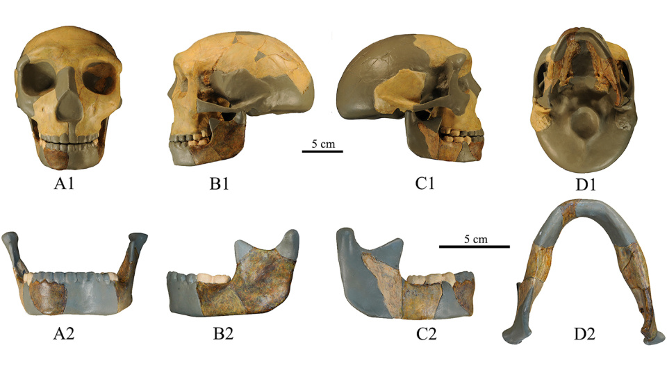   Xiujie Wu et al. / Journal of Human Evolution, 2023
