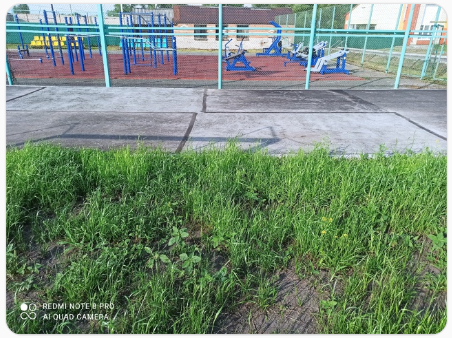 Кромка поля