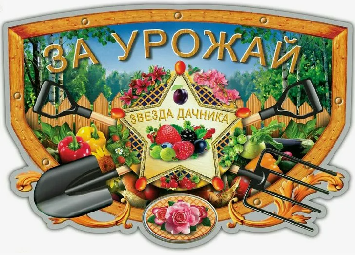 Картинка-открытка из интернета.