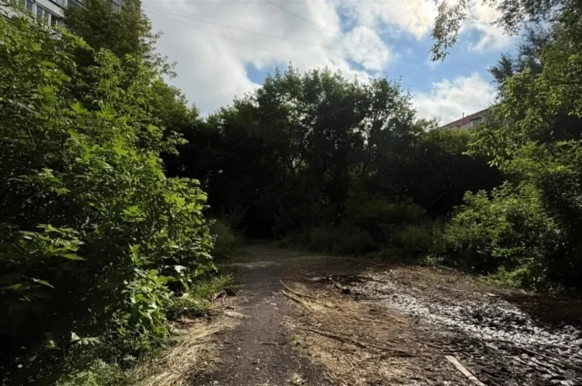    В Барнауле благоустраивают пешеходную аллею на Потоке