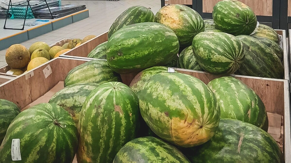     Источник: 1MI