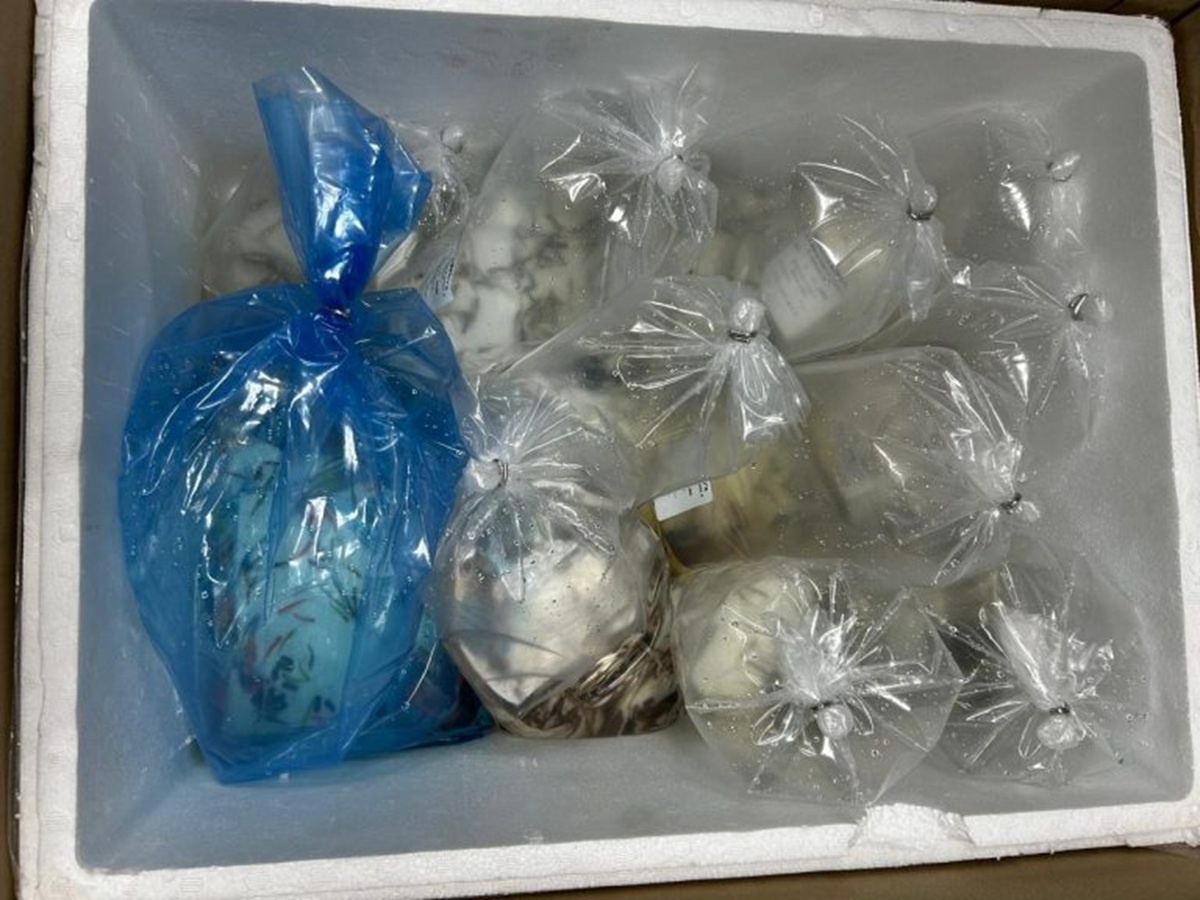 Фото: Уральское межрегиональное управление Россельхознадзора.  📷
