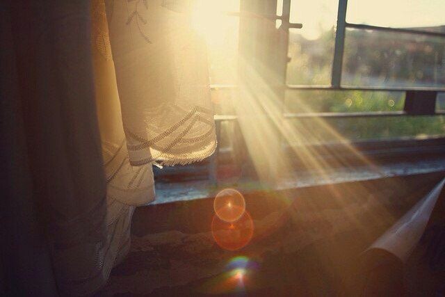 картинка из интернета