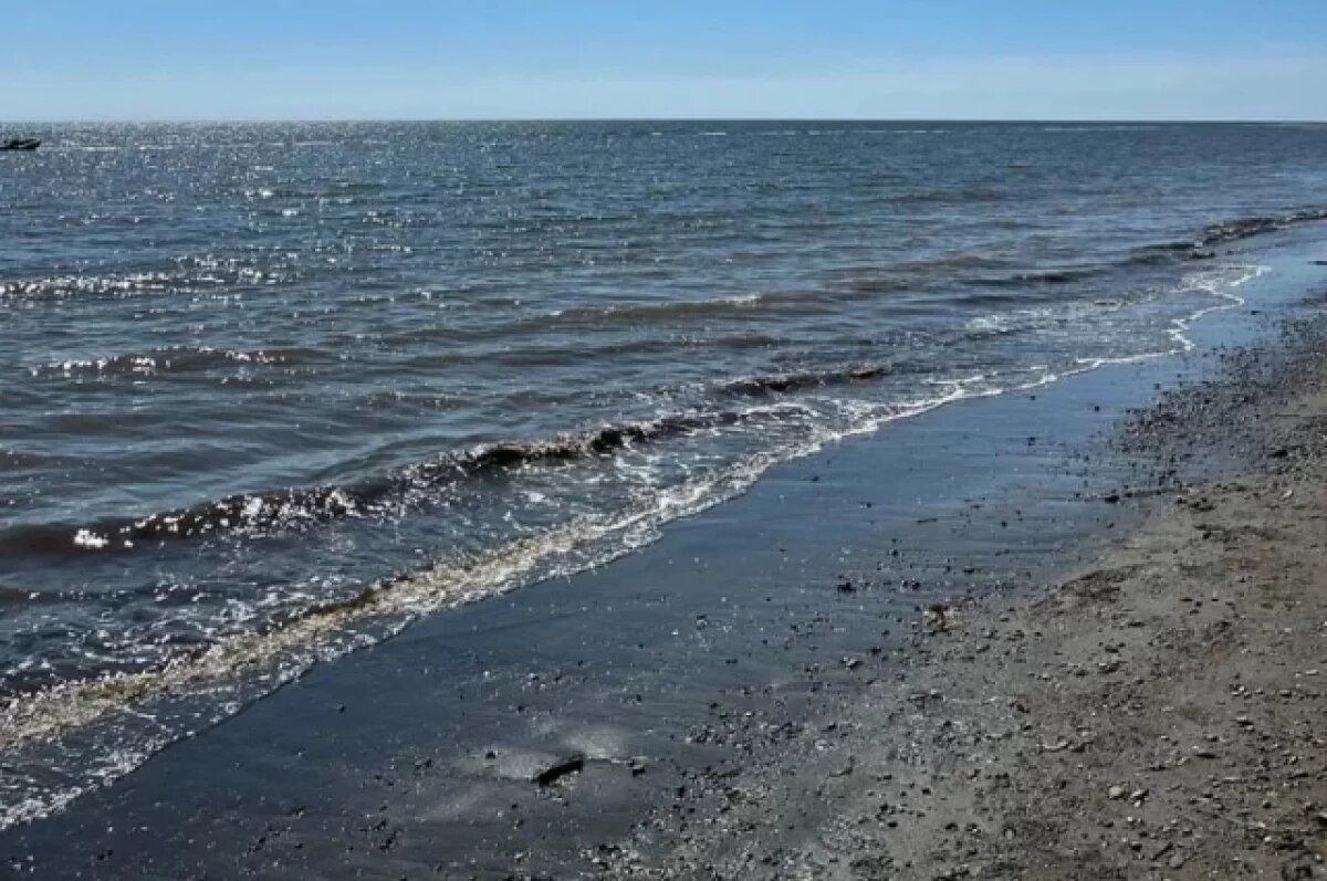    Пять сахалинцев решили покорить залив Анива на надувных матрасах