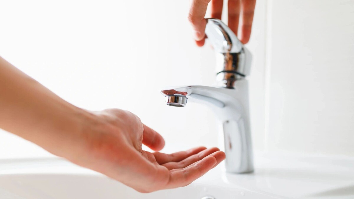    Фото: nikkytok/Shutterstock/Fotodom