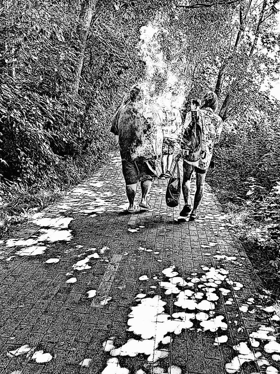 Преобразованное фото