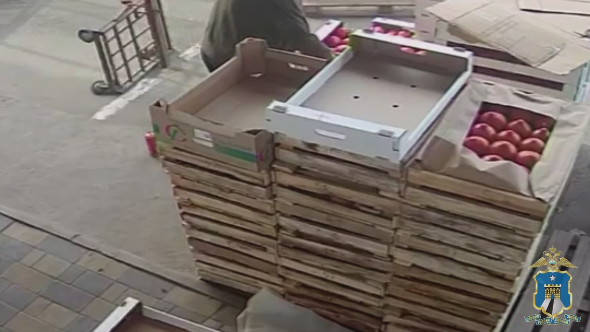 Кадр из видео с камеры наблюдения