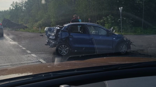 Фото: Мегаполис/telegram